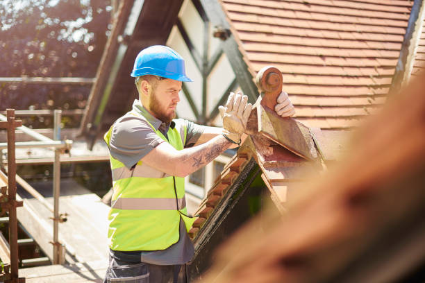 Best Roof Gutter Cleaning  in Weston, OH